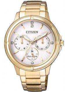 Citizen Eco-Drive FD2032-55A - RIP