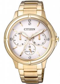 Citizen Eco-Drive FD2032-55A - RIP